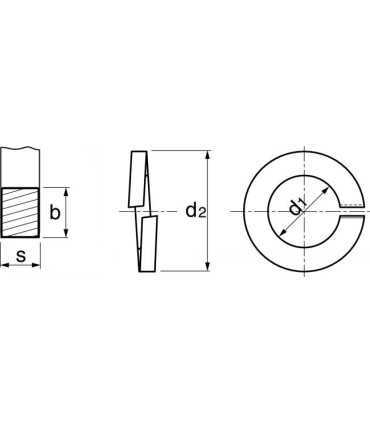 Rondelles freins élastiques (Grower) inox A4