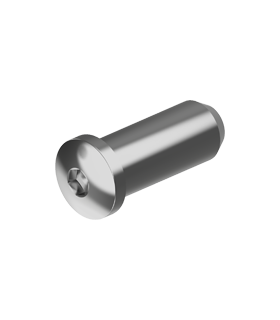 Terminaison taraudée tête cylindrique BTR inox A4