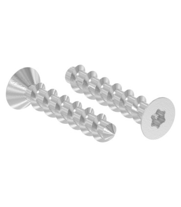 Vis à bois tête fraisée Torx inox A2 A4, rendu 3D technique pour fabrication et assemblage bois.