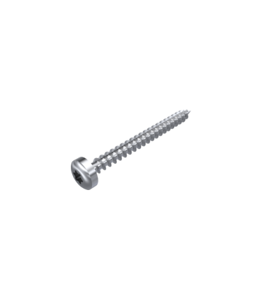 Vis bois TX bombée inox A2