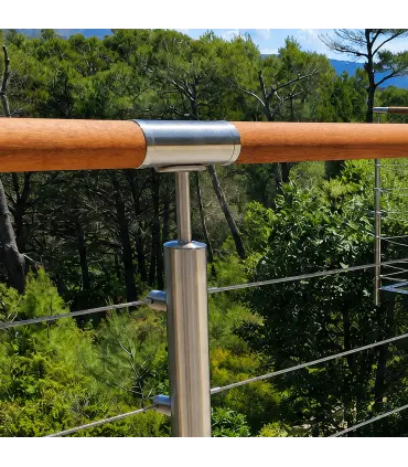 Module sapelli